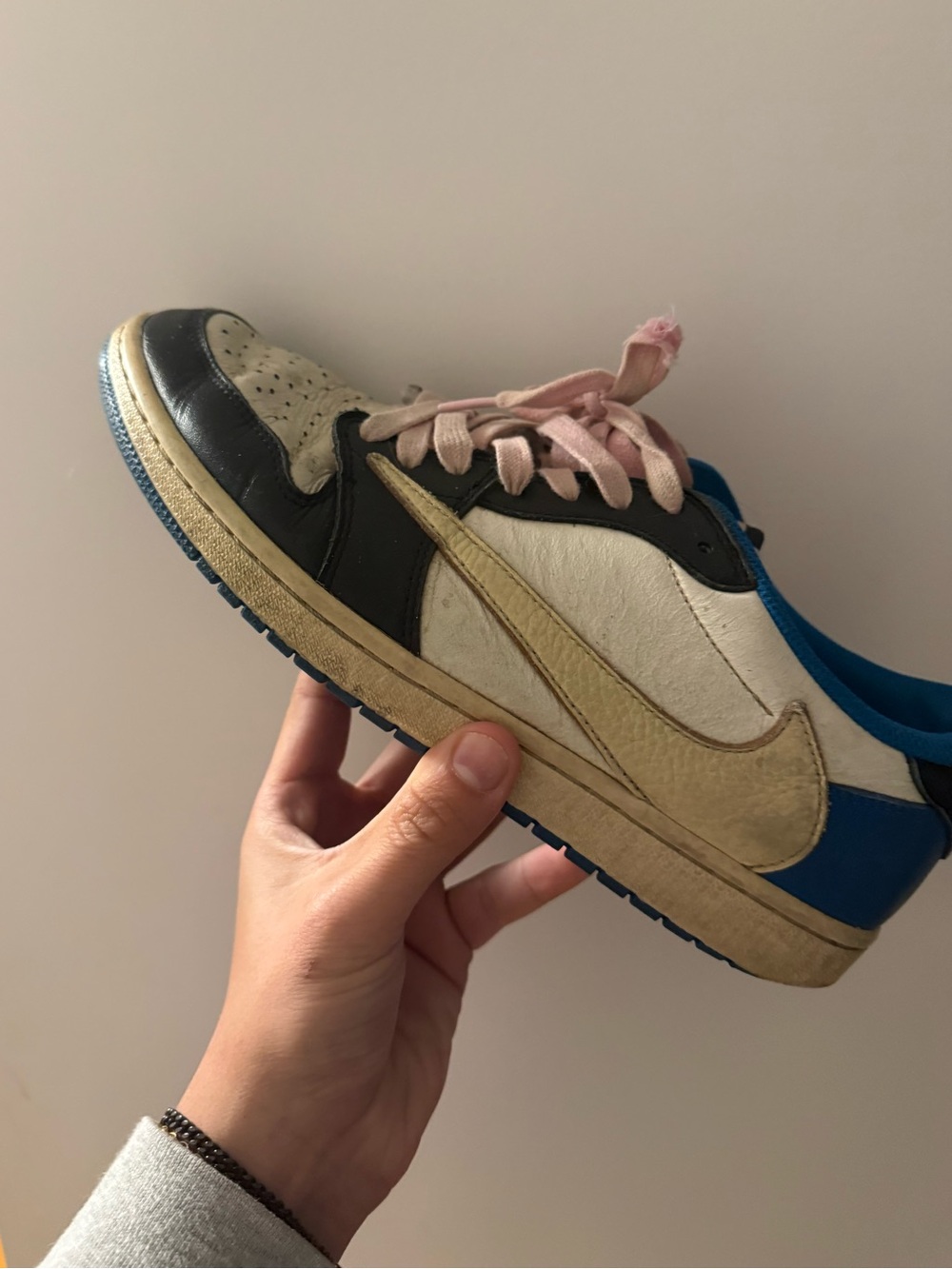 Nike Frag Low TS